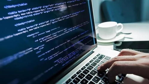 就業率最高的十大專業 軟件工程居首，信息技術咨詢前景廣闊